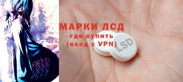 индика Зерноград