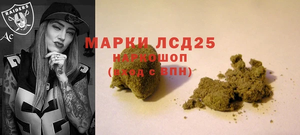 индика Зерноград