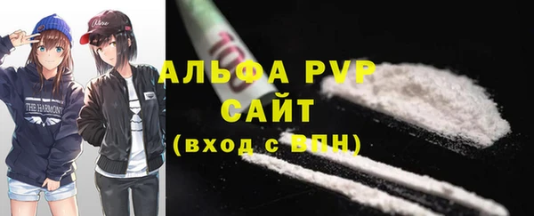 индика Заводоуковск