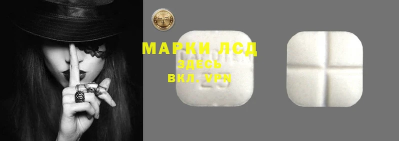 индика Зерноград