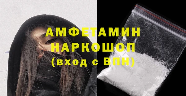 индика Заводоуковск