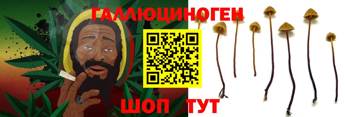 Ишимбай  Галлюциногенные грибы прущие грибы  закладки  Псилоцибиновые грибы Psilocybe  Вход с VPN 